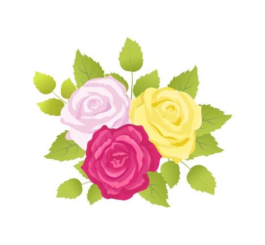 Bouquet of roses poster set Vector Image