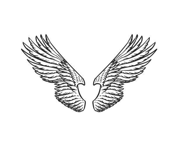 Set of angel wings in vintage style template Vector Image