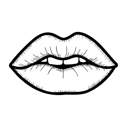Detailed Lips Line Art Vector Image