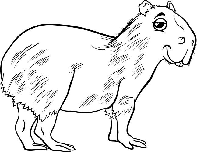 capybara animal cartoon coloring page vector image vector image