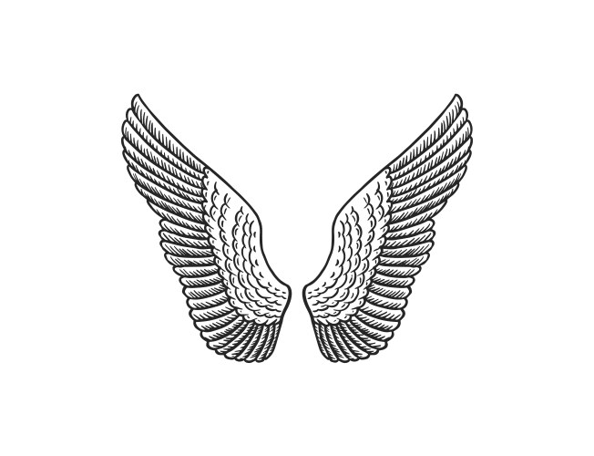 Set of angel wings in vintage style template Vector Image