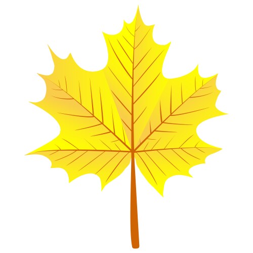 Realistic red maple leaf Royalty Free Vector Image