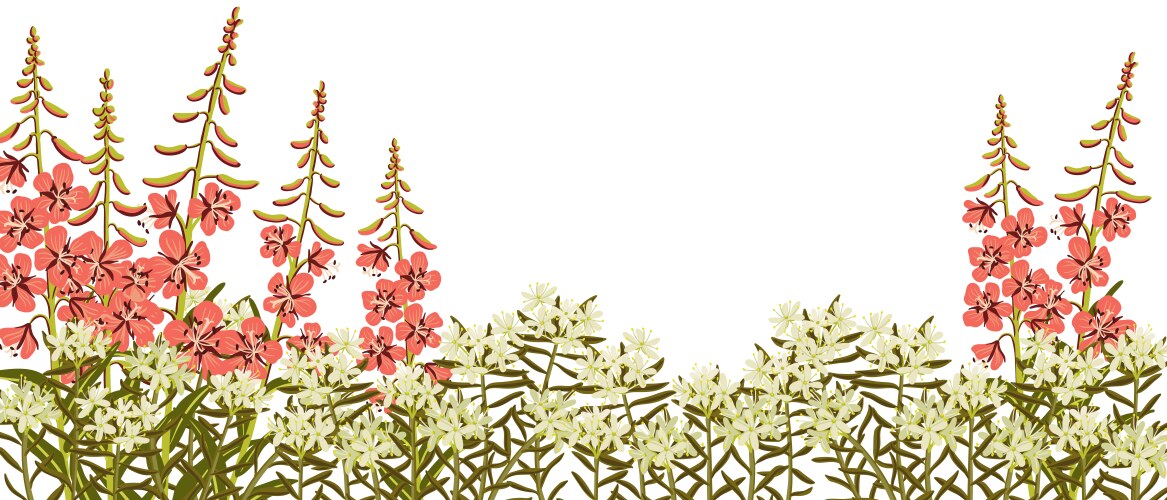 Wildflower Meadow Sketch Vector Image