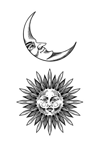 Esoteric Sun & Crescent Moon Sketch Vector Image