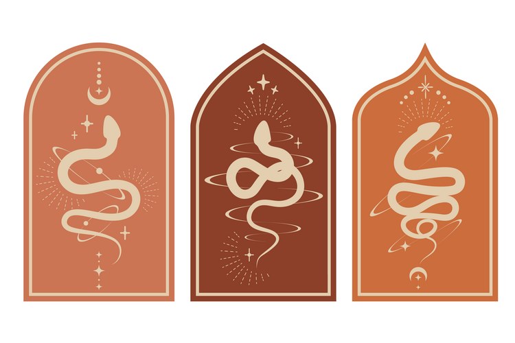 Celestial Serpent Window Vector Image