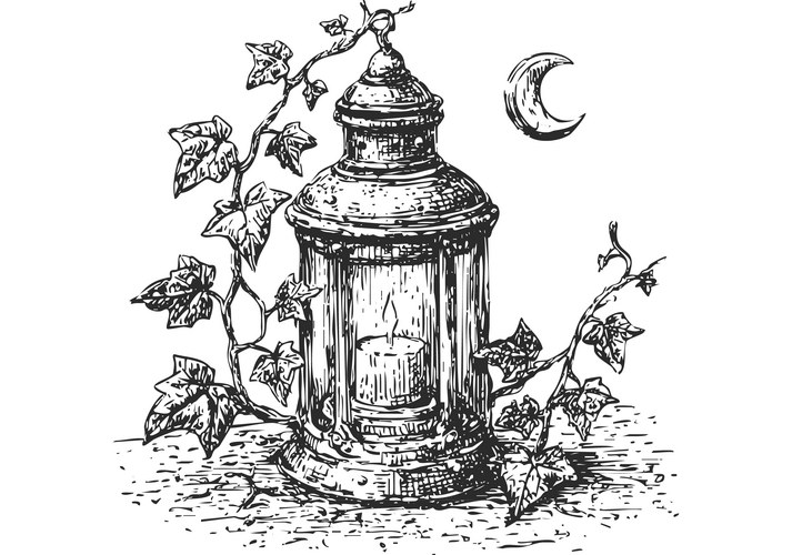 Old Lantern with Ivy and Crescent Moon Vector Image