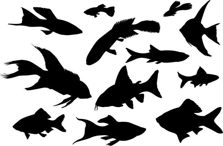 Fish collection Vector Image