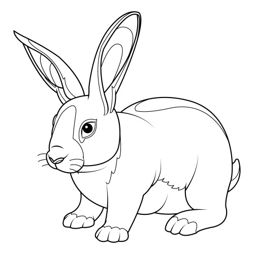 rabbit coloring page vector