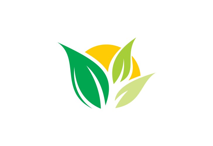 Green Leaf Ecological Logo Royalty Free Vector Image