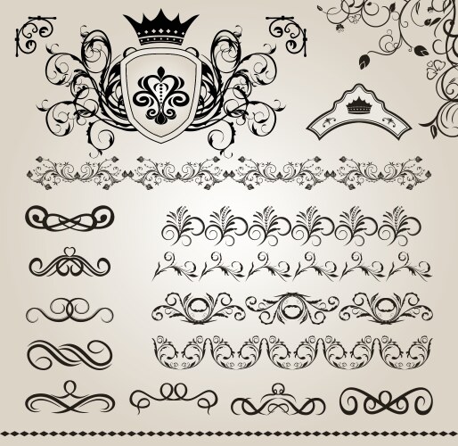 Floral design elements Royalty Free Vector Image