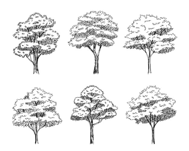 trees sketch architectural hand drawn vector image