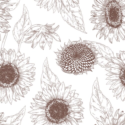 Monochrome floral seamless pattern with sunflower vector image