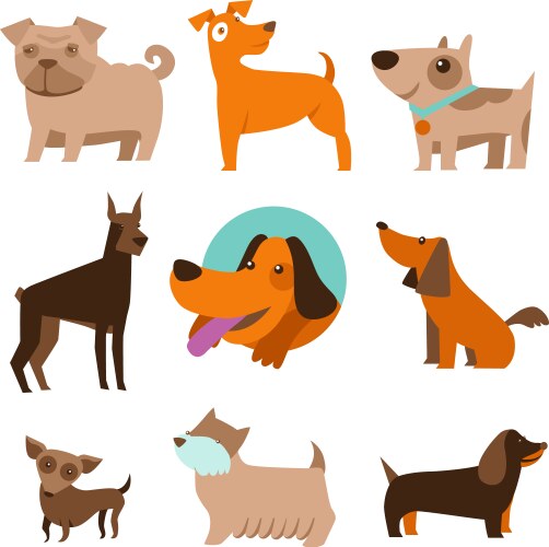 Cute dogs breed Royalty Free Vector Image - VectorStock
