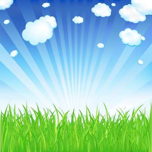 Fresh spring grass background Royalty Free Vector Image