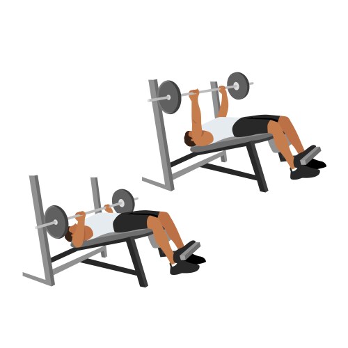 Incline barbell bench press exercise Royalty Free Vector