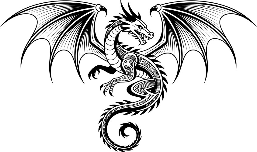 Black and White Dragon Vector Image