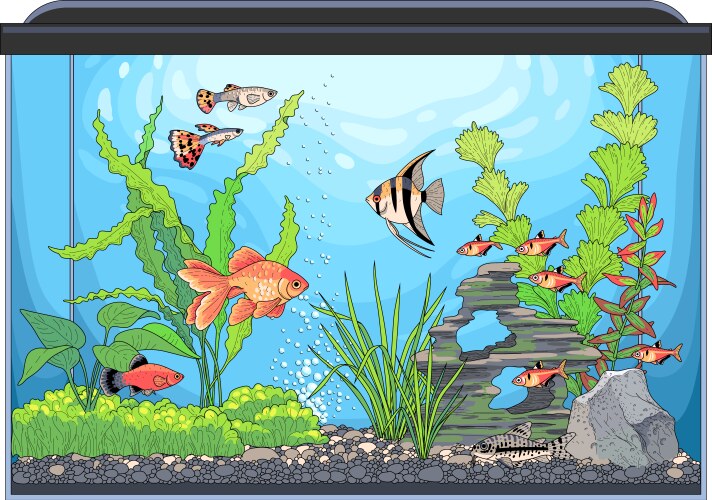 Aquarium tank cartoon Royalty Free Vector Image