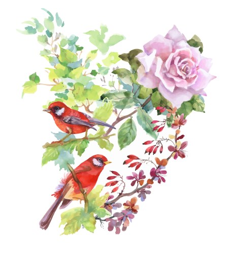 Watercolor Floral Birds Pattern Vector Image
