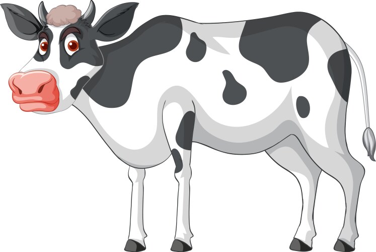 Dairy cow standing cartoon character vector image