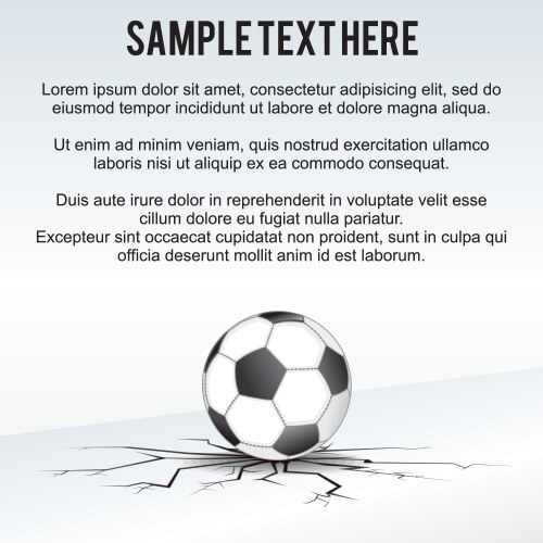 soccer ball background vector image vector image