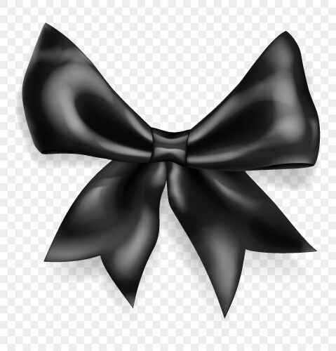 beautiful big bow vector image