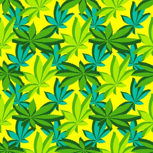 Isometric marijuana leafs seamless pattern vector image