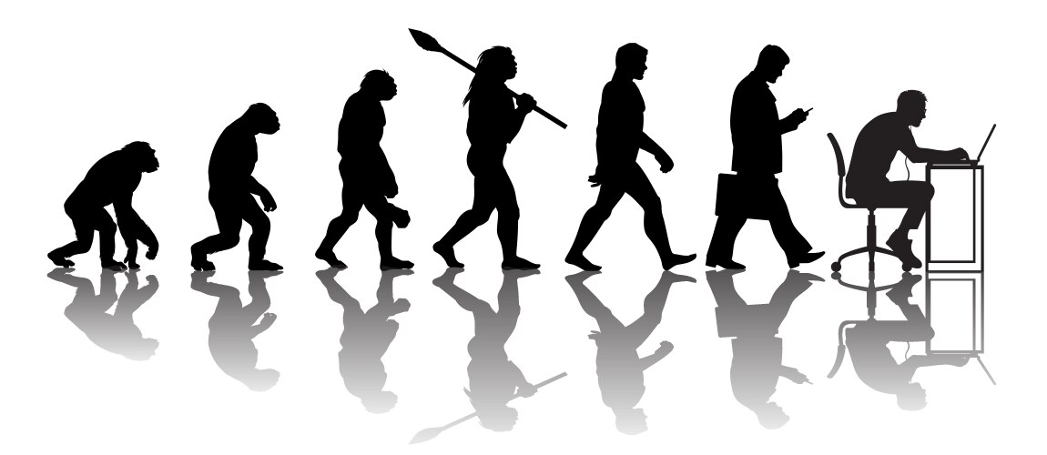 theory of evolution man vector image