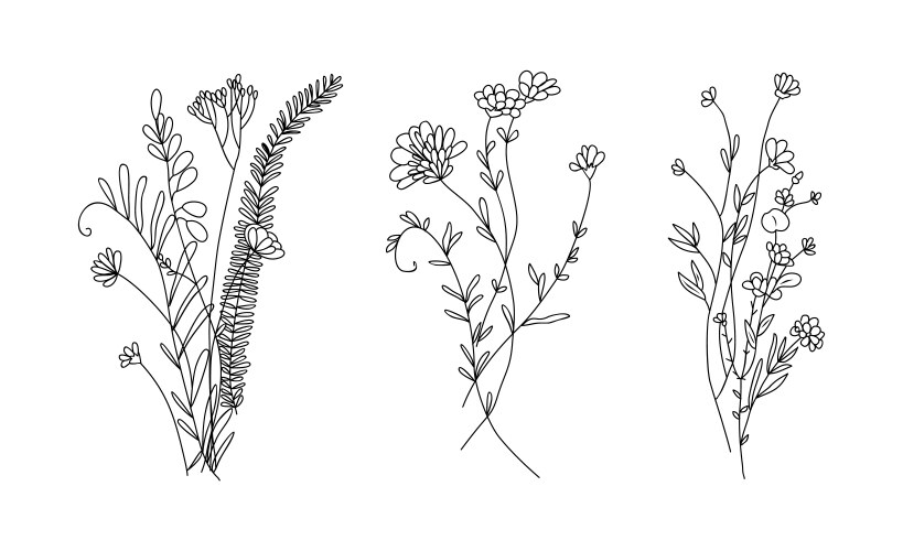 wildflower line art bouquets set isolated vector image