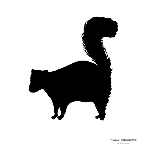 Black silhouette of skunk isolated image vector image