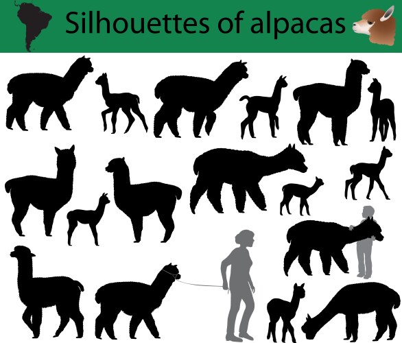 Alpaca Silhouettes Collection Vector Image