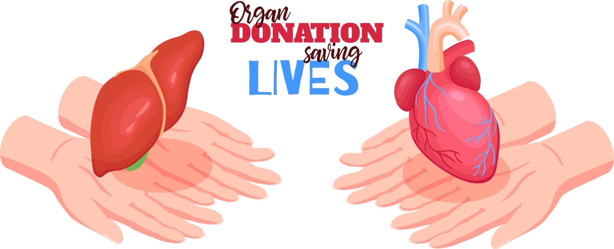 Human organs isometric icons set Royalty Free Vector Image