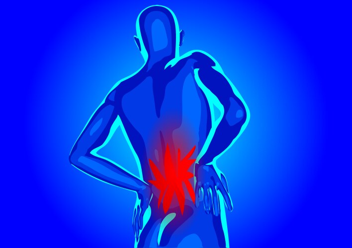 lower back pain vector