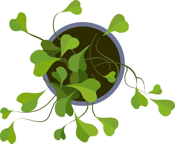 Plants and gardening equipments Royalty Free Vector Image