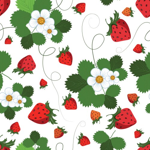 Red berry strawberry and a half Royalty Free Vector Image