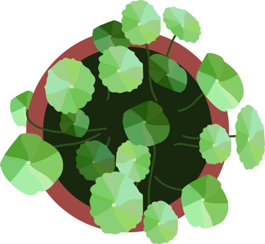 Top view plants easy copy paste in your landscape Vector Image