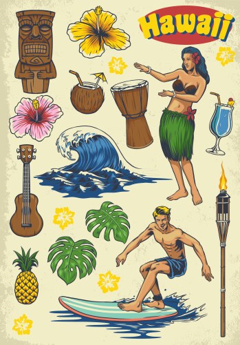 Retro Hawaii Concept Set Vector Image