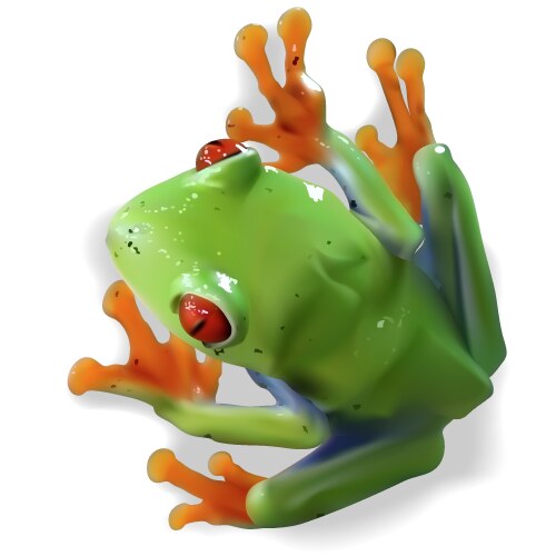 Red Eyed Tree Frog Vector Images (over 130)
