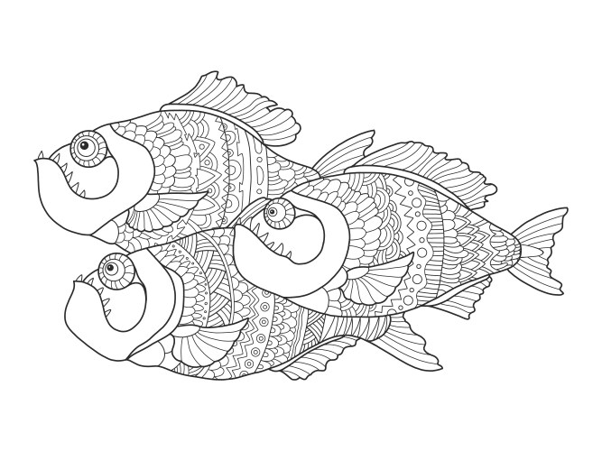 Piranha Zentangle Coloring Page Vector Image
