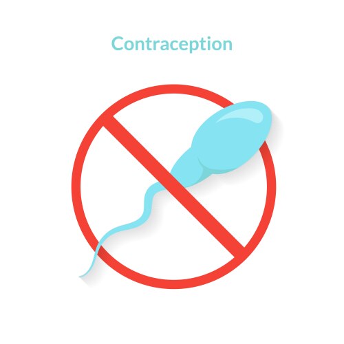 Sperm method of contraception birth control vector image