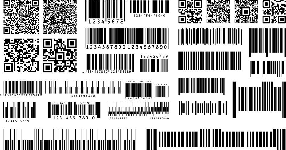 Bar code product barcodes and qr codes vector image