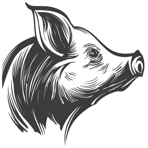 Pig hand drawn sketch Vector Image