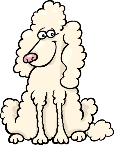 Cartoon poodle Vector Images & Graphics for Commercial Use | VectorStock
