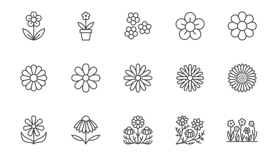 Chamomile line icons set daisy flower echinacea Vector Image