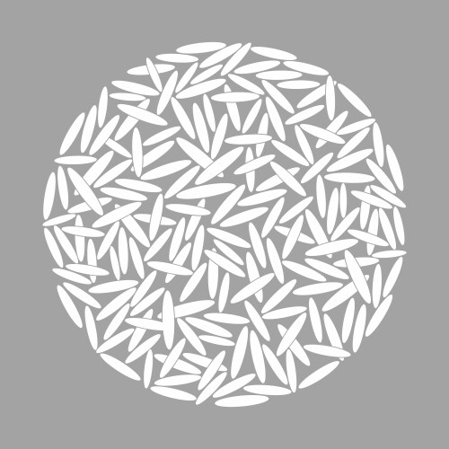 Vector Rice Flakes Rice Grain Texture Royalty Free Vector Image - VectorStock