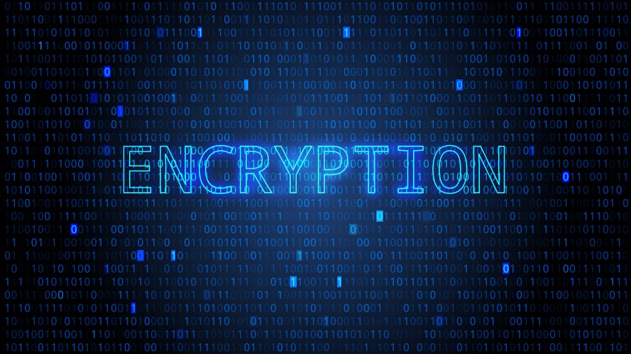 Digital binary code bg with highlighted numbers vektorbild