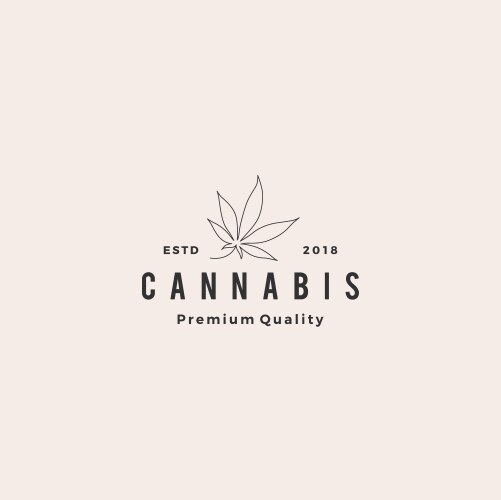 cannabis leaf logo icon vector image