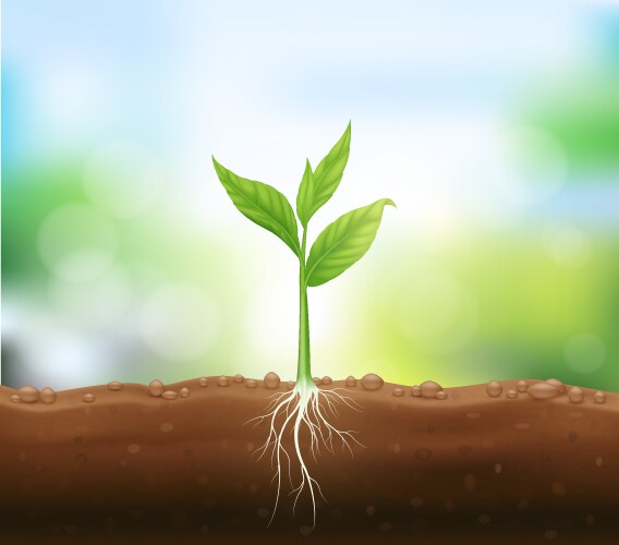 Digital Roots Vector Digital Roots Vector Images (over 920)