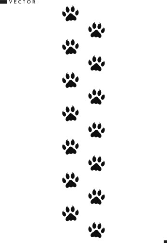 Tiger footprints Vector Image