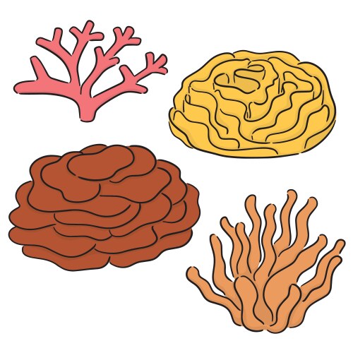 Set coral Vector Image