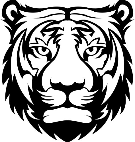 Tiger head face Vector Image
